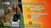 "Dalla parte degli animali"