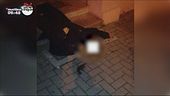Strasburgo, ucciso il killer