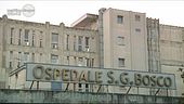 Napoli, ancora formiche in ospedale