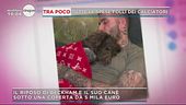 Il riposo di Beckham e il suo cane