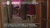 La vita in una stalla