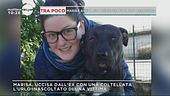 Curno, vendetta di sangue
