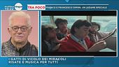 I Gatti di Vicolo Miracoli