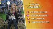 "Dalla parte degli animali"
