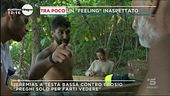 Isola: Jeremias vs Brosio