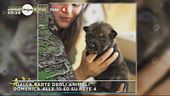 "Dalla parte degli animali"