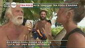Nervi tesi su l'Isola