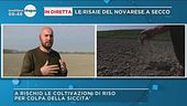 Attenti al clima