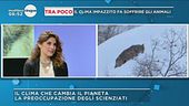 Il clima che cambia il pianeta