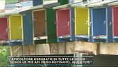Apicoltore derubato di tutte le sue api