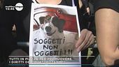 In piazza per i diritti degli animali