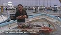 L'importanza dell'alimentazione
