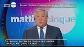 Il ruolo di Forza Italia in Europa
