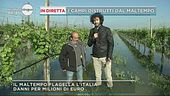 In diretta i campi distrutti dal maltempo