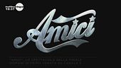 "Amici", lo spettacolo finale