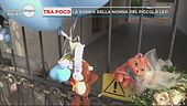 Il piccolo Leo poteva essere salvato?