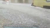 Tempo pazzo