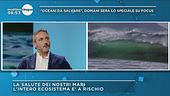 Oceani da salvare, domani sera lo speciale su Focus