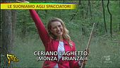 L'EFFETTO DELLA MUSICA NEL BOSCO DELLA DROGA