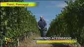 Paesi, Paesaggi... e Barolo