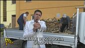 Truffa venditori di legna