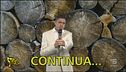 La banda della legna