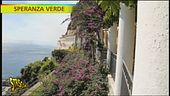 Un pergolato di Ficus