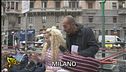 Beneficenza farlocca