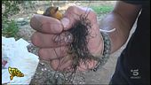 Il roccolo di Besana in Brianza