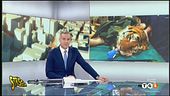 Visti da Voi da non perdere