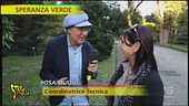 L'orto botanico a Napoli