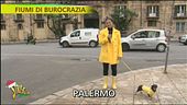 Fiumi di burocrazia