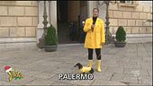 Palazzi allagati