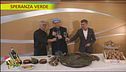 Ricette con le verdure