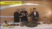 Ricette con le verdure