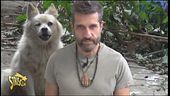 Gattini liberi