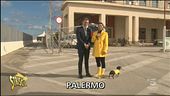 Il nodo del porto di Palermo