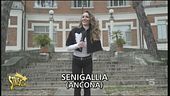 Risonanza magnetica a Senigallia