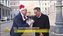 A Natale anche Vespone è buono