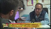Canile Santa Lucia