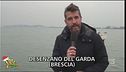 La moria degli storni