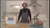 Catena del freddo e pesce fresco