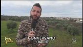 Stoppa e il presunto macello abusivo