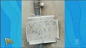 I Cartelli succulenti di Militello