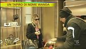 Tapiro a Wanda Icardi