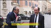 Vespone e l'analisi politica del giorno