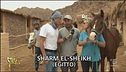 Ricovero per animali a Sharm El-Sheikh