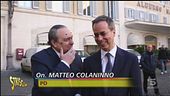 Il pungiglione di Vespone all'opera