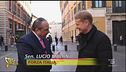 Vespone all'attacco