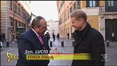 Vespone all'attacco